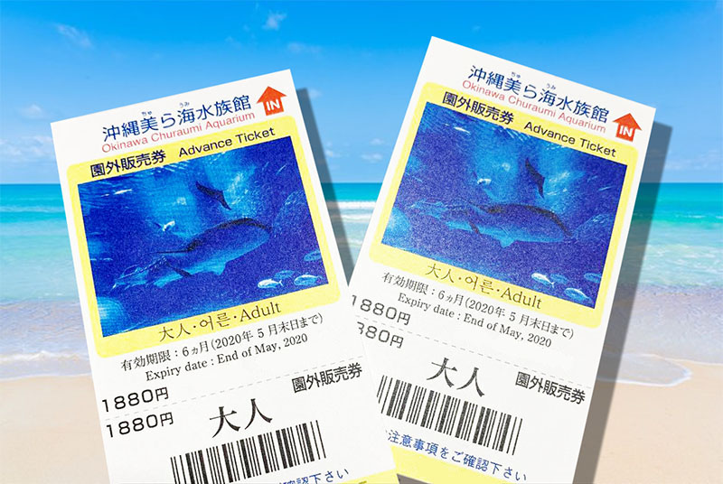 沖縄美ら海水族館チケット提示で特典サービス 新着情報 ホテルマハイナ